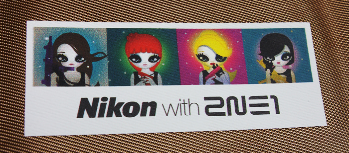 2ne1 실사작업.jpg